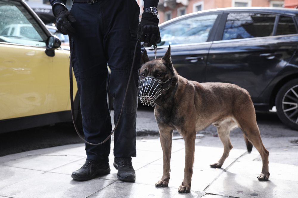 Σκύλοι ανιχνευτές σταμάτησαν 2 παράνομες μεταφορές χρημάτων ύψους 170.000 ευρώ