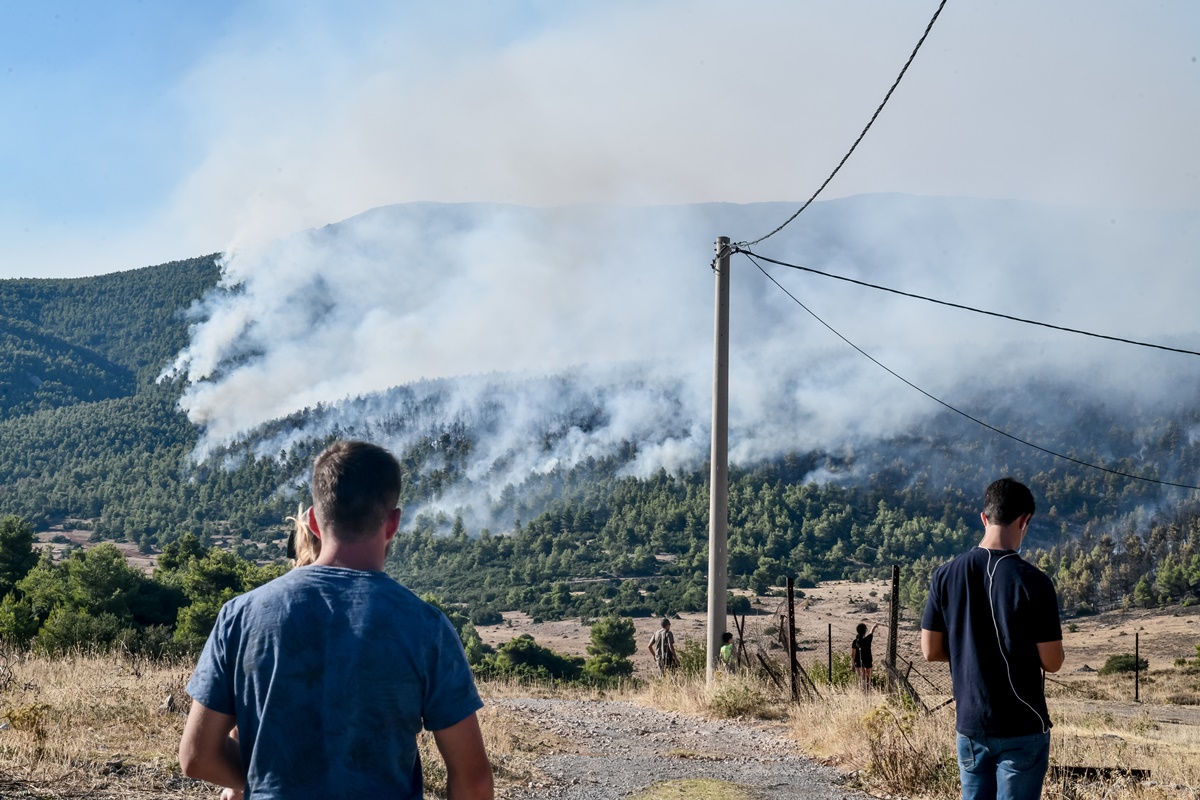 ΕΛΑΣ: 11 συλλήψεις και 142 προσαγωγές για εμπρησμό στην Αττική