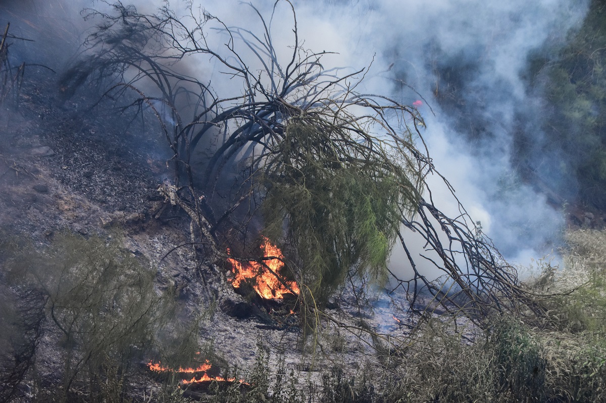 Πυρκαγιές ξέσπασαν σε Άργος και Καβάλα – Έχουν τεθεί υπό έλεγχο – ΦΩΤΟ