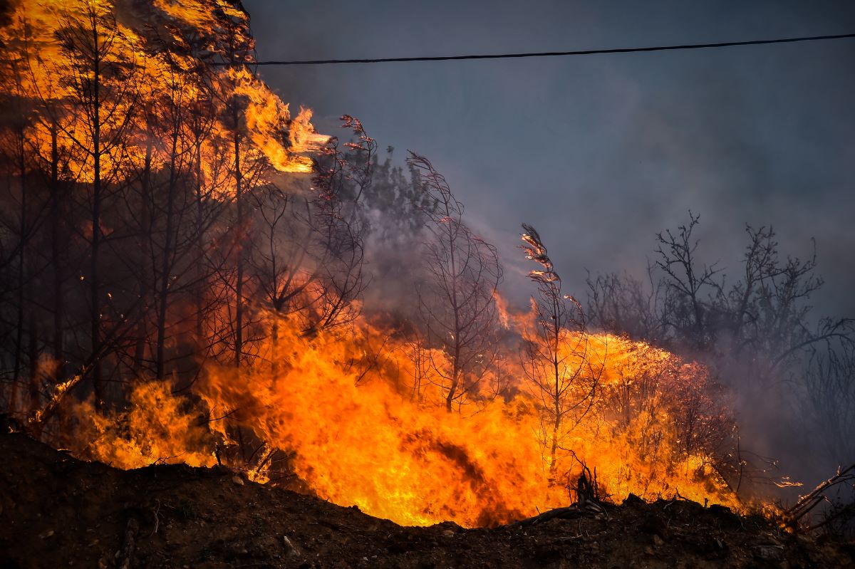 Πολύ υψηλός κίνδυνος πυρκαγιάς σήμερα Δευτέρα σε αυτές τις 4 περιφέρειες της χώρας