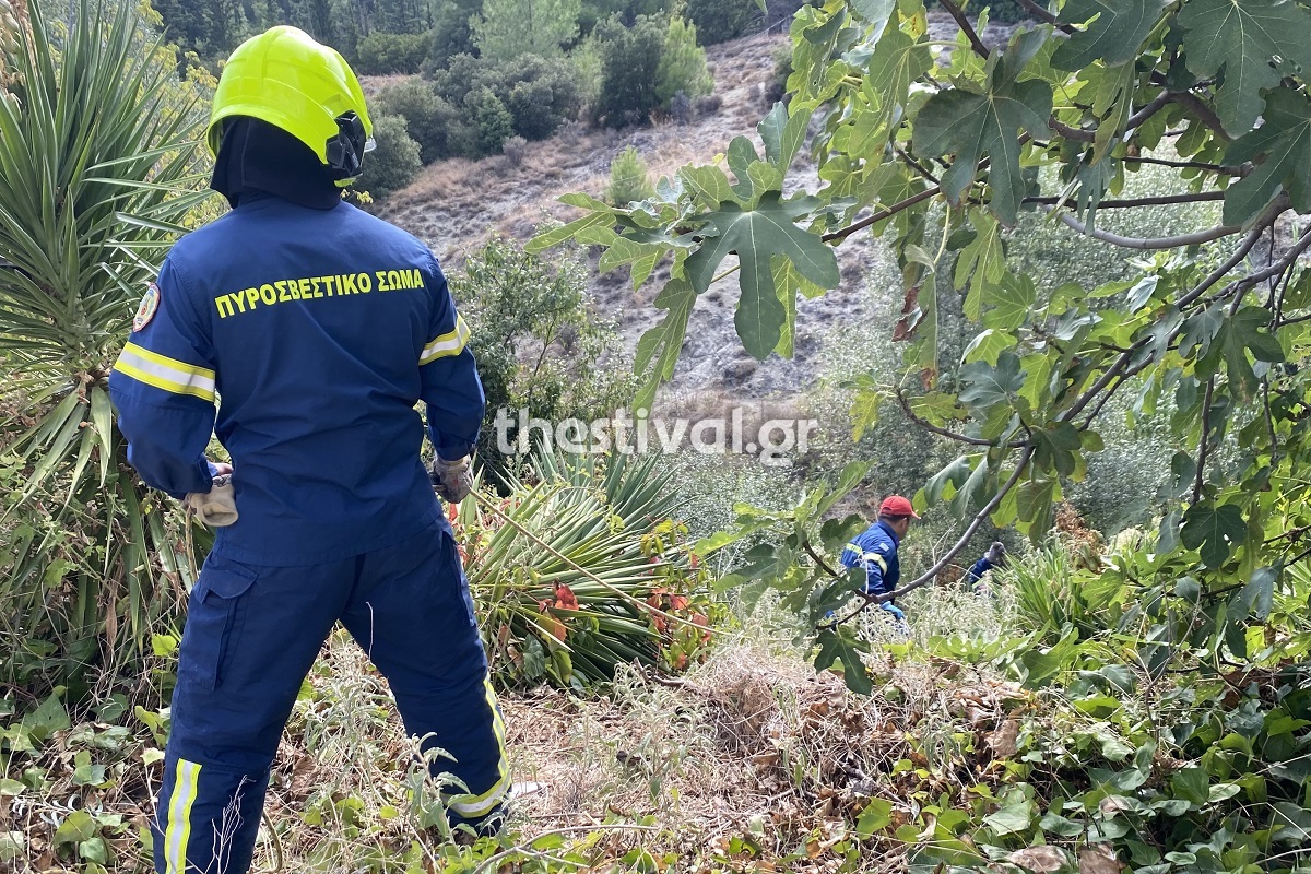 Θεσσαλονίκη: Ηλικιωμένος έπεσε σε γκρεμό 10 μέτρων – Πραγματοποιήθηκε επιχείρηση διάσωσης – ΒΙΝΤΕΟ – ΦΩΤΟ